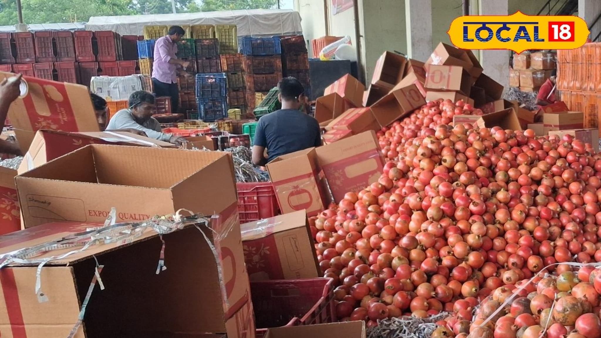 Krushi Market Rate: शेवगा, डाळिंब तेजीत, शेतकरी मालामाल; बाजारात भाव किती?