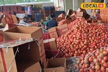 Krushi Market Rate: शेवगा, डाळिंब तेजीत, शेतकरी मालामाल; बाजारात भाव किती?