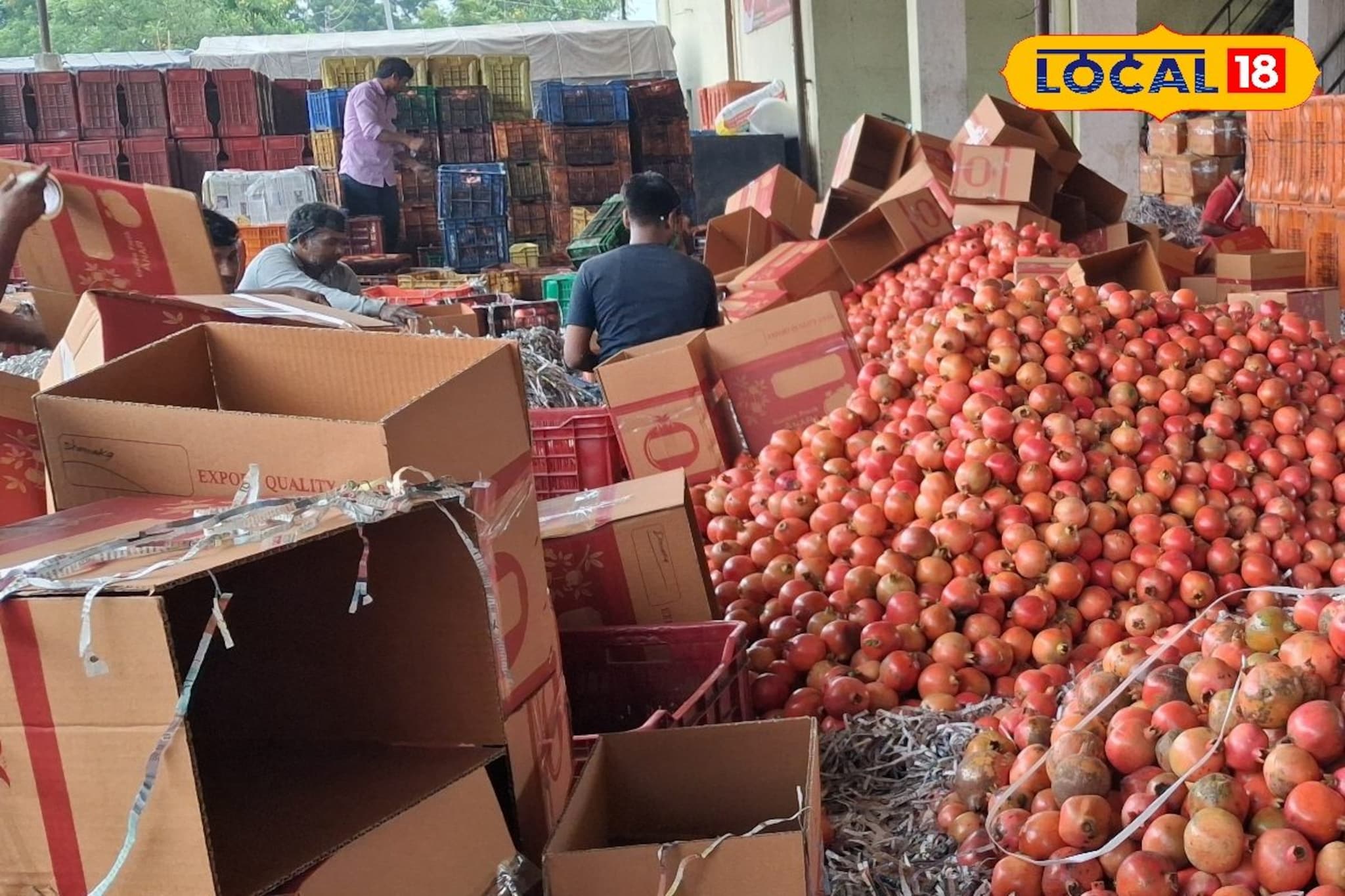 शेवगा, डाळिंब तेजीत, शेतकरी मालामाल; बाजारात भाव किती?