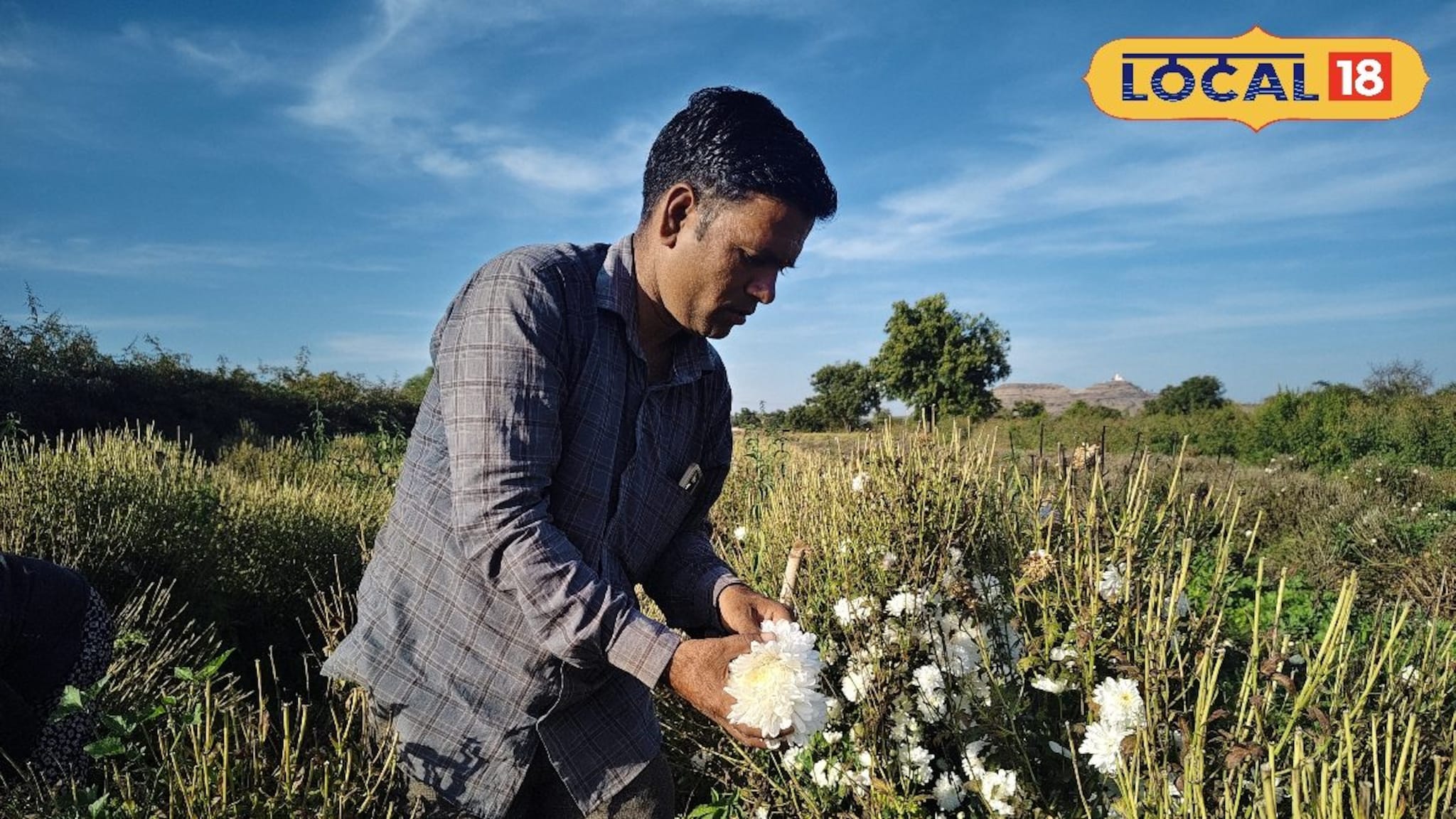 Success Story : 12 वर्षांपूर्वी घेतला निर्णय, शेतकरी करतोय आता फायद्याची शेती, वर्षाला लाखोंचे उत्पन्न, Video