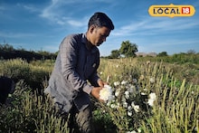 Success Story : 12 वर्षांपूर्वी घेतला निर्णय, शेतकरी करतोय आता फायद्याची शेती, वर्षाला लाखोंचे उत्पन्न, Video