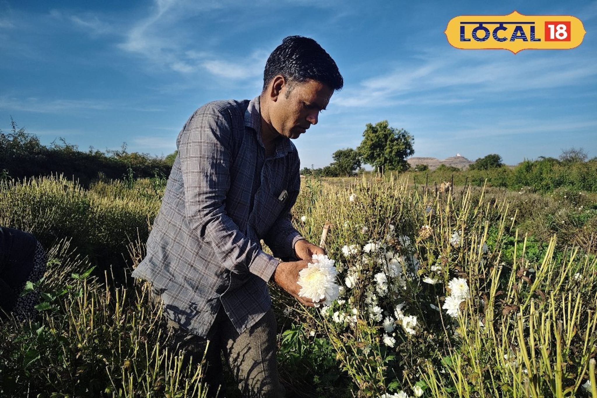 12 वर्षांपूर्वी घेतला निर्णय, शेतकरी करतोय आता फायद्याची शेती, लाखोंचे उत्पन्न