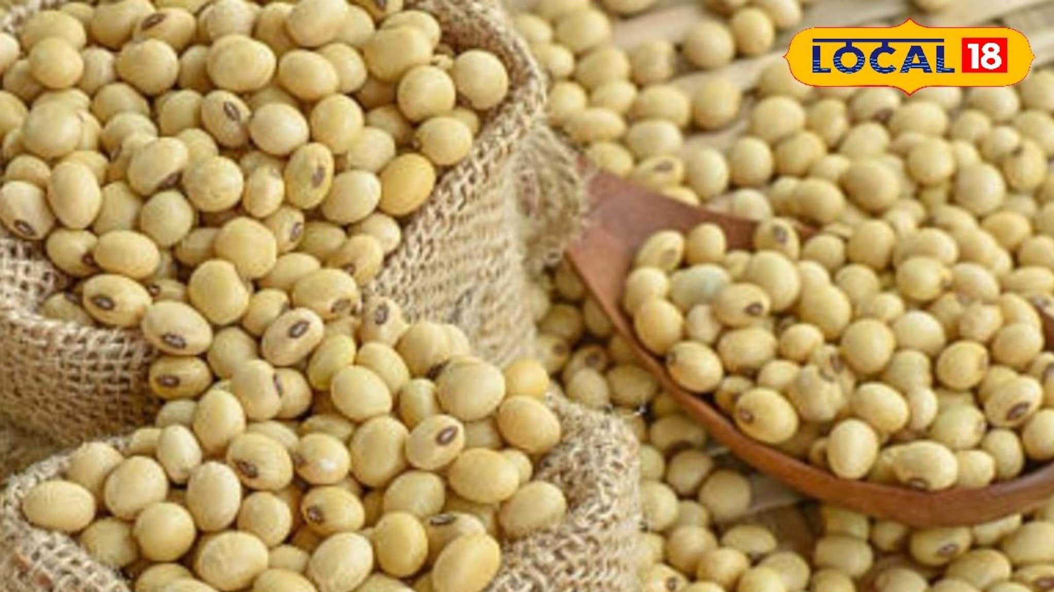 सोयाबीन आणि कांद्याच्या दरात मोठी उलथापालथ, मक्याला बुधवारी किती मिळाला दर?