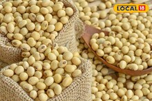 सोयाबीन आणि कांद्याच्या दरात मोठी उलथापालथ, मक्याला बुधवारी किती मिळाला दर? Video