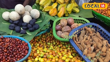 रानमेवा 