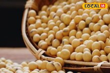 शेतकऱ्यांसाठी चिंताजनक बातमी, सोयाबीन दरात वाढ नाहीच, कांद्याला किती मिळाला भाव? Video