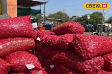 Krushi Market Today: मक्याचे दर सुधारले; सोयाबीन आणि कांद्याला किती मिळाला दर? जाणून घ्या...