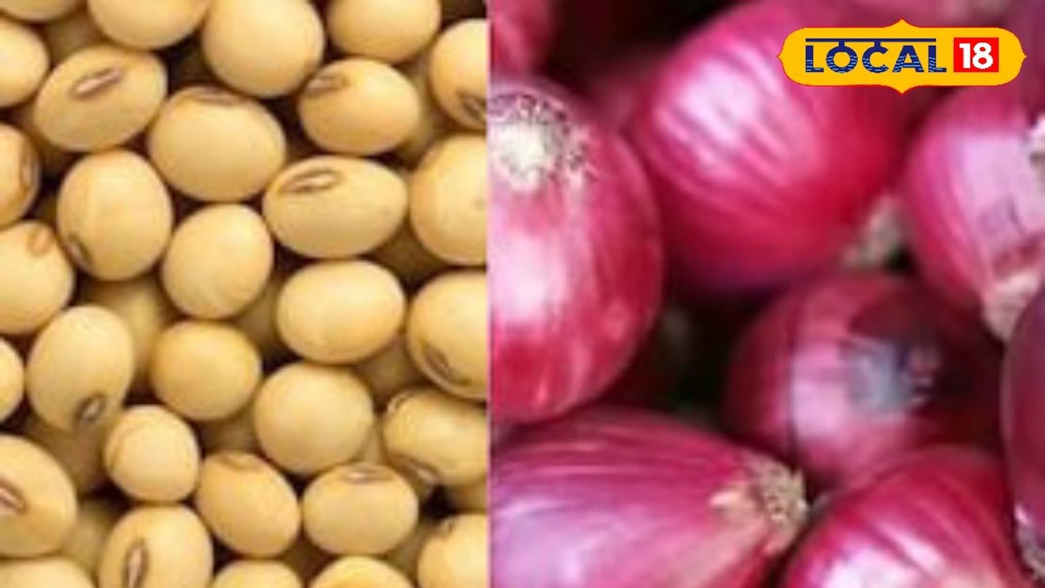 Krushi Market Rate: बाजारात शेतमालाचे दर पुन्हा घसरले, मका, सोयाबीन आणि कांद्याचे दर किती?