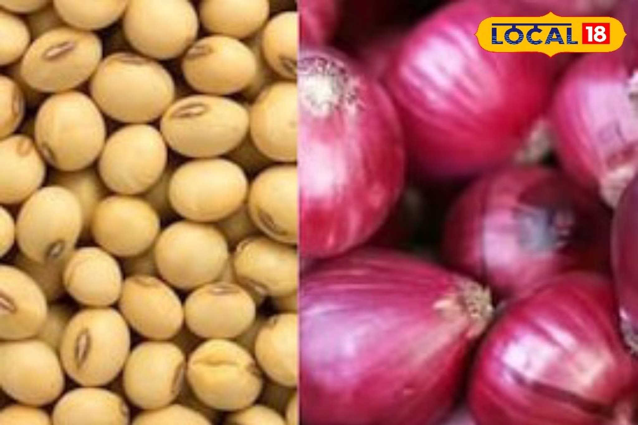 बाजारात शेतमालाचे दर पुन्हा घसरले, मका, सोयाबीन आणि कांद्याचे दर किती?