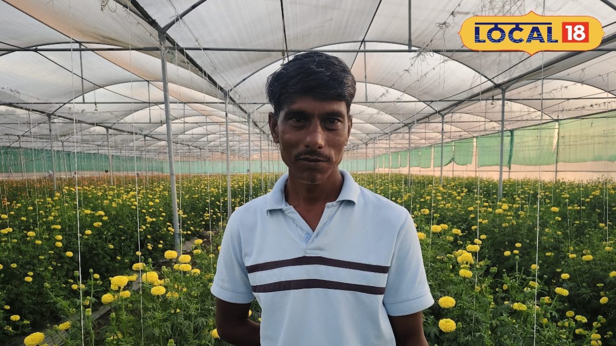 20 गुंठ्यात झेंडूची शेती, नागपूरसह मुंबईतही विक्री; पारंपरिक शेतीत लाखोंची कमाई