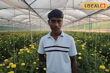 Success Story: 20 गुंठ्यात झेंडूची शेती, नागपूरसह मुंबईतही विक्री; पारंपरिक शेती निवडत महिन्याकाठी भरघोस कमाई