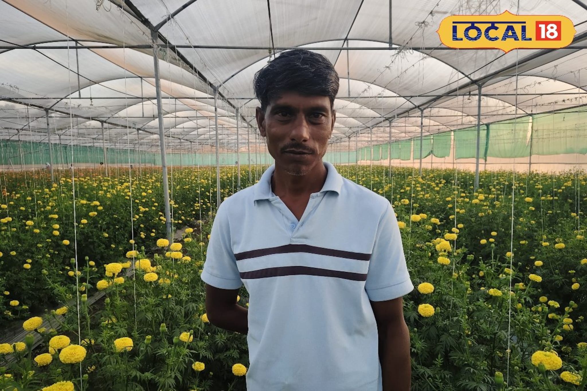 20 गुंठ्यात झेंडूची शेती, नागपूरसह मुंबईतही विक्री; पारंपरिक शेतीत लाखोंची कमाई