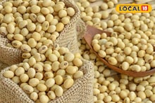 Krushi Market Rate: शेतकऱ्यांच्या पदरी पुन्हा निराशा; कांदा, मका आणि सोयाबीनच्या दरात विक्रमी घसरण 