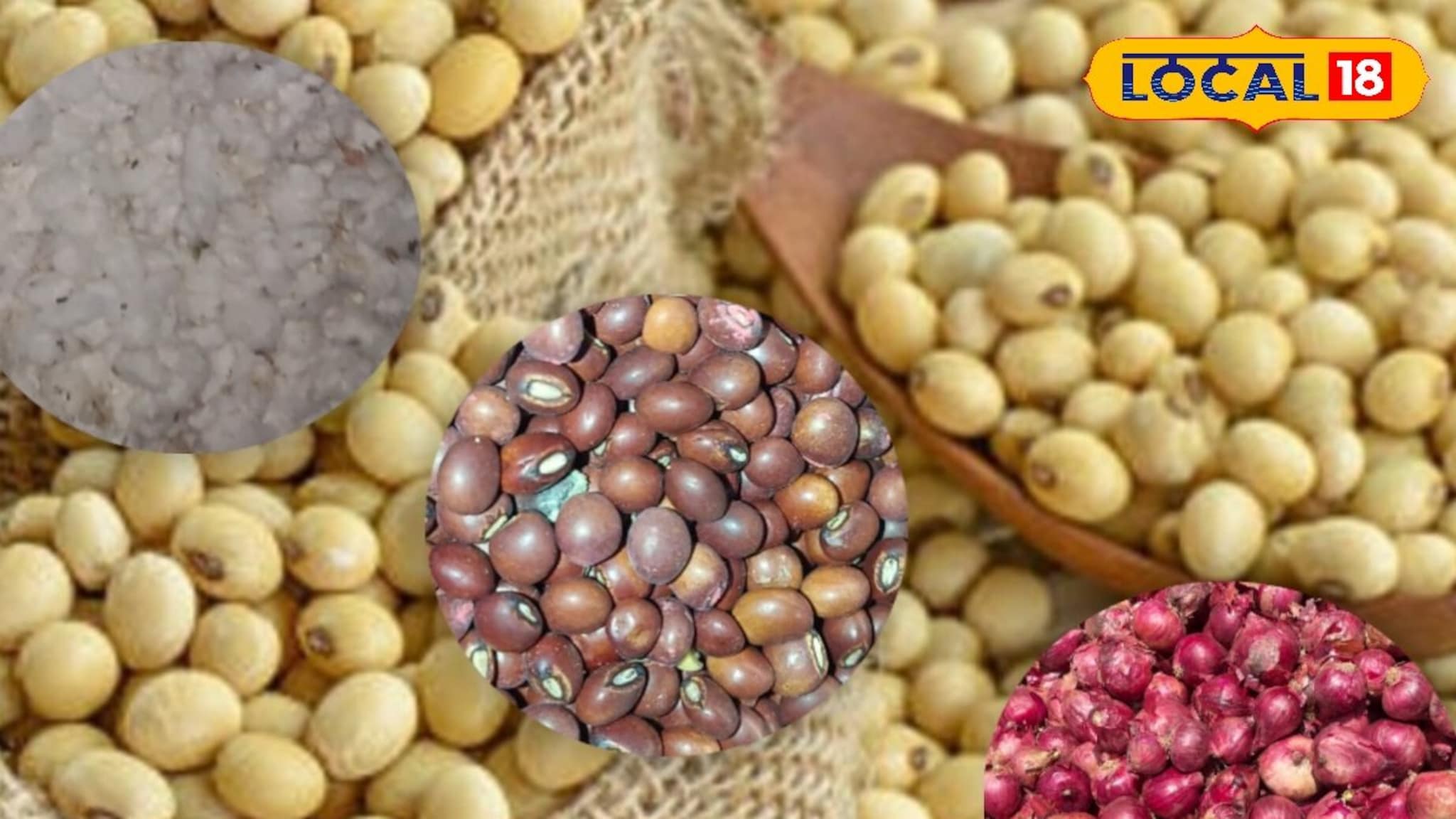 आठवड्याच्या पहिल्याच दिवशी वाढला सोयाबीनचा भाव, तूर आणि कापसाची स्थिती काय? Video