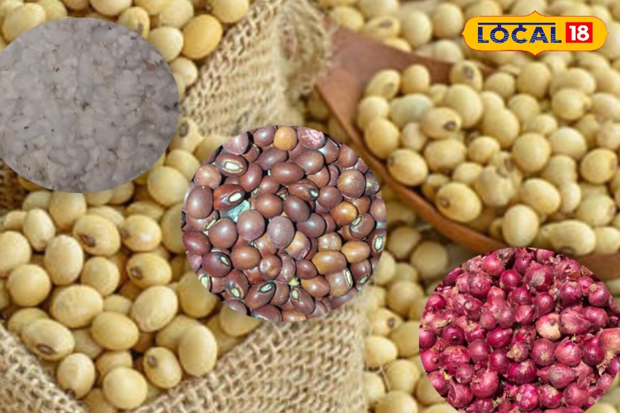 आठवड्याच्या पहिल्याच दिवशी वाढला सोयाबीनचा भाव, तूर आणि कापसाची स्थिती काय?