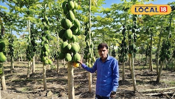 स्टॉलवर