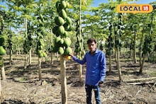 Success Story : स्टॉलवर विकली फळं, शेतात केली पपईची लागवड, तरुण शेतकऱ्याची 5 लाख कमाई, Video