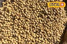 Soybean Price : सोयाबीनच्या दरात मोठी उलथापालथ, आगामी काळात 5000 जाणार? मार्केटमधून अपडेट समोर