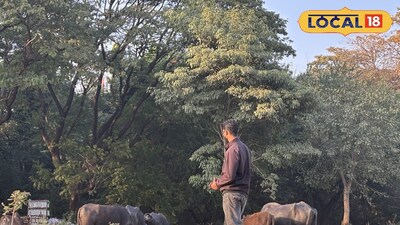 पुण्यात मुळा मुठा स्वच्छतेसाठी trash boom संकल्पना..