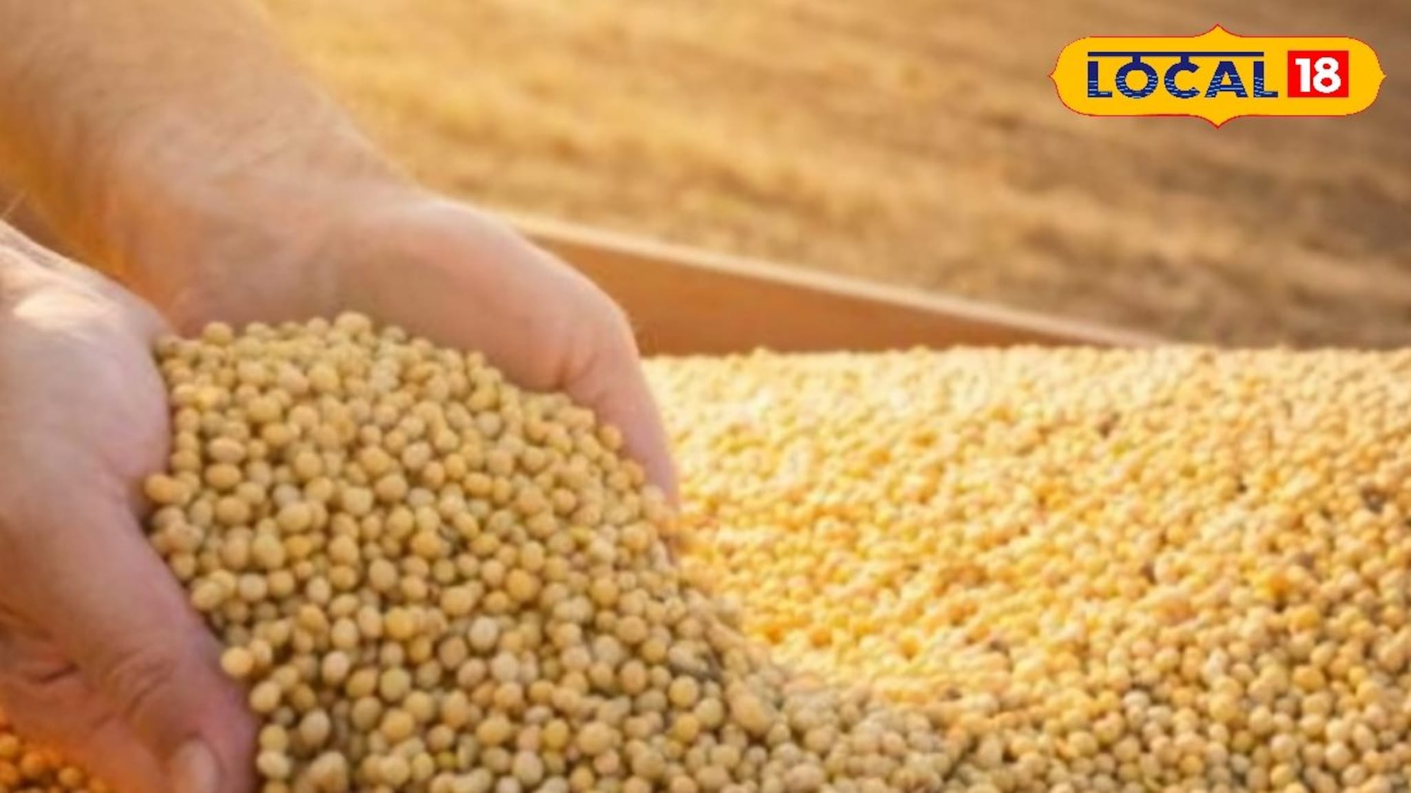 कांदा दरात मोठी घट, सोयाबीन आणि कापसाला किती मिळाला आज भाव? इथं चेक करा