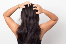 Bhringraj Hair Oil: पांढऱ्या केसांवर रामबाण उपाय, केसगळती 7 दिवसात थांबणार ,भृंगराज तेलानं असा करा मसाज