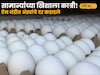 सामान्यांच्या खिशाला कात्री!ऐन थंडीत अंड्यांचे दर कडाडले; पुढील २ महिने असाच राहणार 'महागाई'चा तडाखा!
