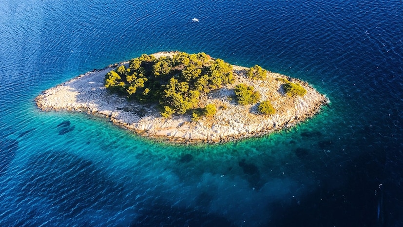 लोक विचारतात, 