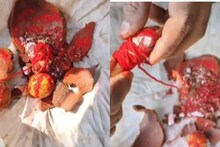 शर्यतीआधी बैलांवर भानामती? हळद-कुंकू, लिंबू, काळे उडीद अन्...भादोले गावच्या स्मशानभूमीत अघोरी प्रकार