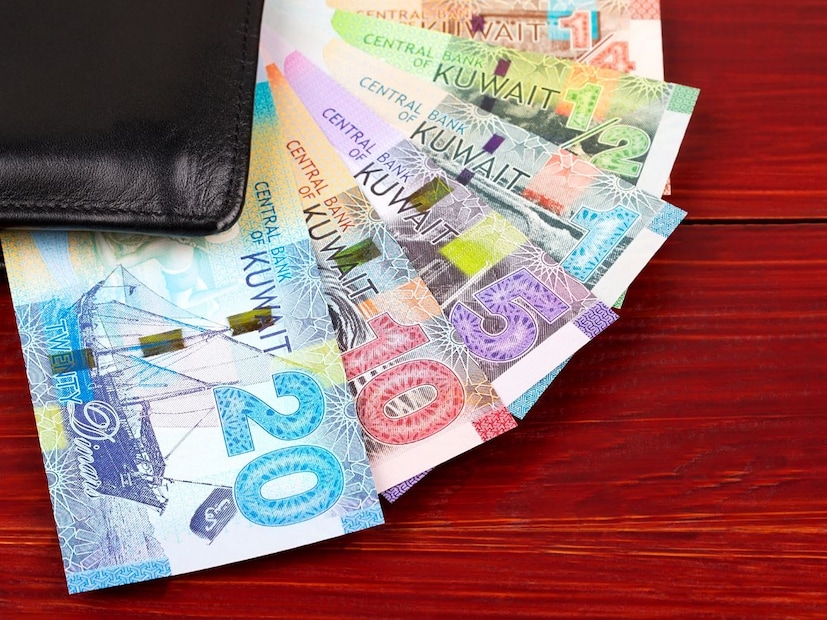 2. छोटी लोकसंख्या, मोठी संपत्तीकुवैतची लोकसंख्या तुलनेने कमी आहे, पण इथले दरडोई उत्पन्न (Per Capita Income) खूप जास्त आहे. याचा परिणाम म्हणून देशात एक अत्यंत मजबूत आणि संपन्न स्थानिक बाजारपेठ आहे.