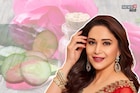 Madhuri Dixit :  माधुरी दीक्षित एवढी सुंदर कशी दिसते? स्वत: सांगितलं सीक्रेट