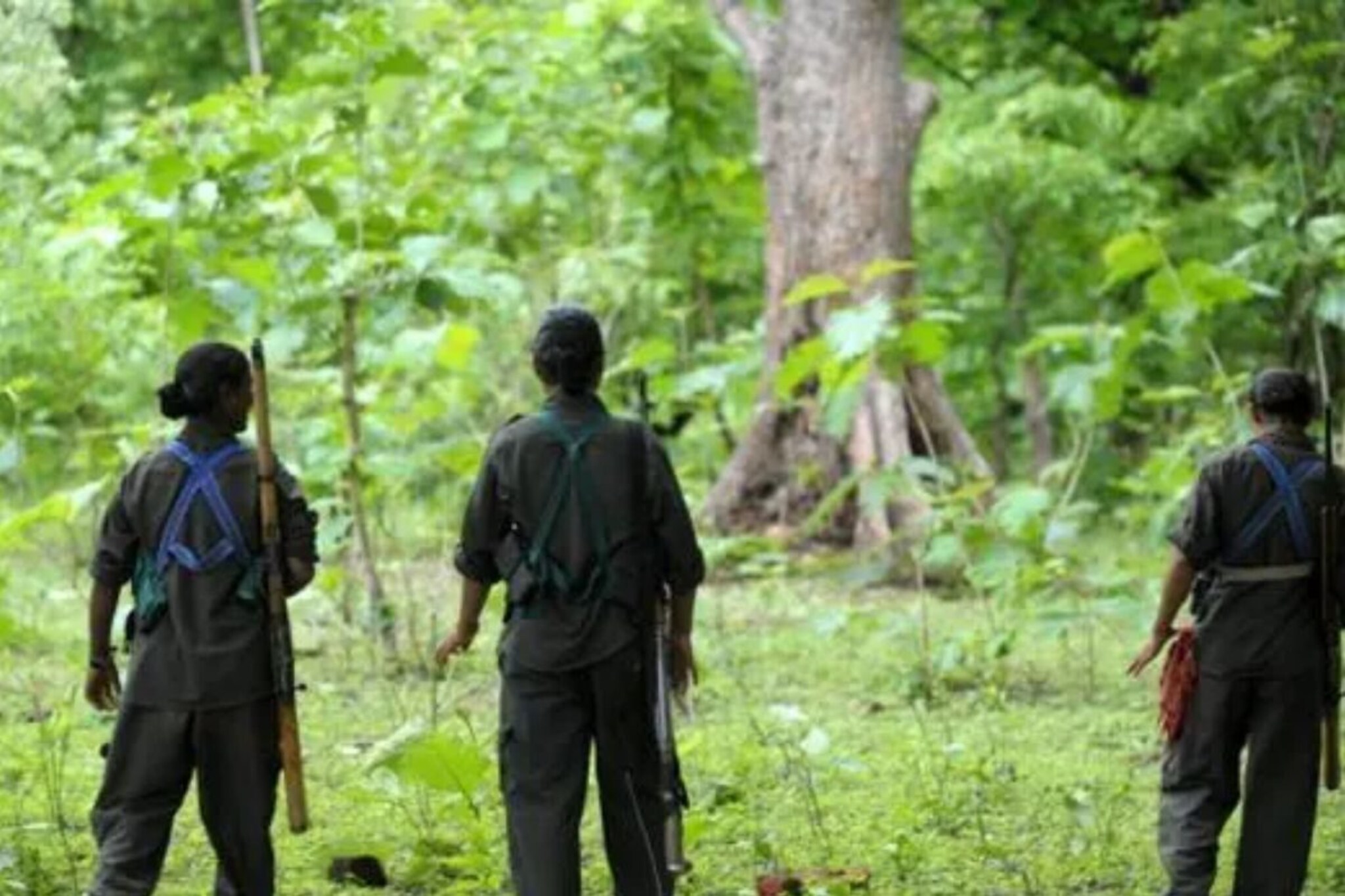 मोठी बातमी, सुरक्षा दलाच्या चकमकीत 12 माओवाद्यांचा खात्मा, 3 जवान शहीद