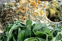 Methi Recipe Video : ना भाजी, ना थेपला; आजीने बनवला मेथीचा चटपटीत पदार्थ, शेअर केली रेसिपी