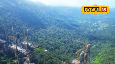 Missing Link Project