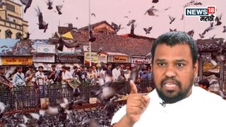 कबुतरं राजकारण तापवणार! गोरक्षक प्रमाणे कबुतर रक्षक तयार करणार, जैन धर्मगुरुंची घोषणा