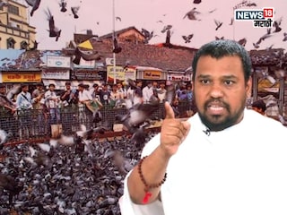 कबुतरं राजकारण तापवणार! गोरक्षक प्रमाणे कबुतर रक्षक तयार करणार, जैन धर्मगुरुंची घोषणा कबुतरं राजकारण तापवणार! गोरक्षक प्रमाणे कबुतर रक्षक तयार करणार, जैन धर्मगुरुंची घोषणा