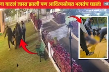 Nagpur Crime : फार्म हाऊसवर बॅचलर पार्टी! आदित्यला चादरीत गुंडाळून खोलीत टाकून दिलं, दुसऱ्या दिवशी जे काही घडलं... CCTV समोर