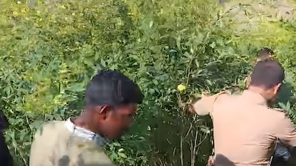 नांदेड- गांजा कारवाई नांदेड- गांजा कारवाई