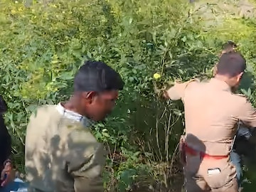 नांदेड- गांजा कारवाई नांदेड- गांजा कारवाई