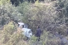 Nashik Accident: सप्तश्रृंगीच्या घाटात भीषण अपघात, Bolero 800 फूट दरीत कोसळली, सहा जणांचा जागेवर मृत्यू