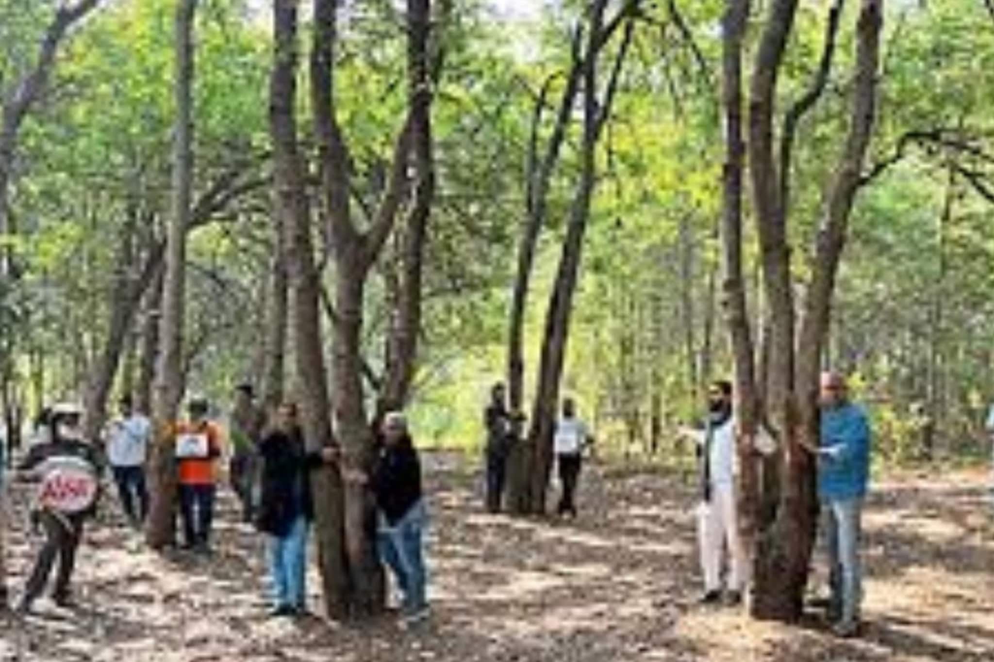 नाशिक महानगरपालिकेला हरित लवादाचा दणका, म्हणाले, तपोवनातील एका...