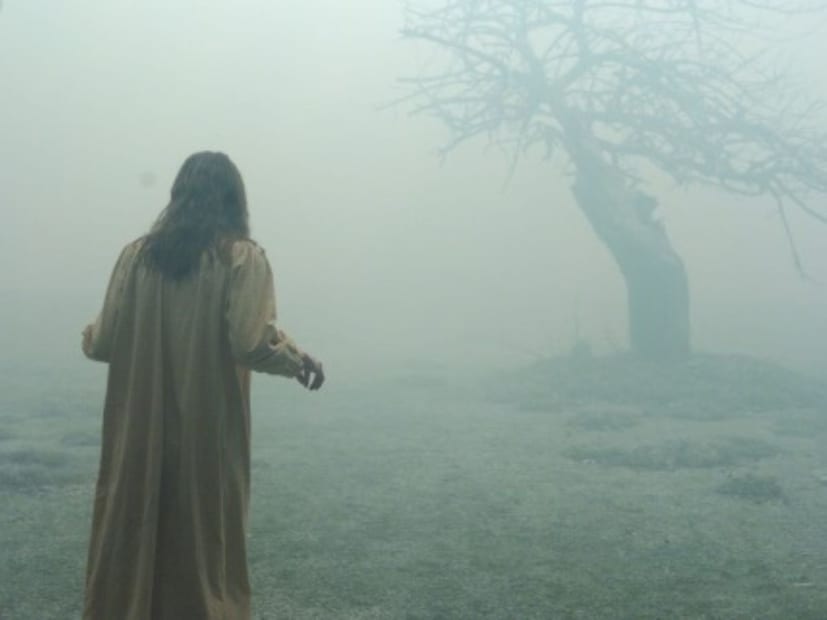  ओटीटीवरील या हॉरर फिल्मचं नाव 'द एक्सॉर्सिज्म ऑफ एमिली रोज' (The Exorcism of Emily Rose) असं आहे. 1996 मधील एका सत्य घटनेवर प्रेरित हा चित्रपट 9 सप्टेंबर 2005 रोजी प्रेक्षकांच्या भेटीला आला होता. स्कॉट डेरिकसन यांनी या चित्रपटाच्या दिग्दर्शनाची धुरा सांभाळली होती. अतिशय गंभीर असा या चित्रपटाचा विषय होता.