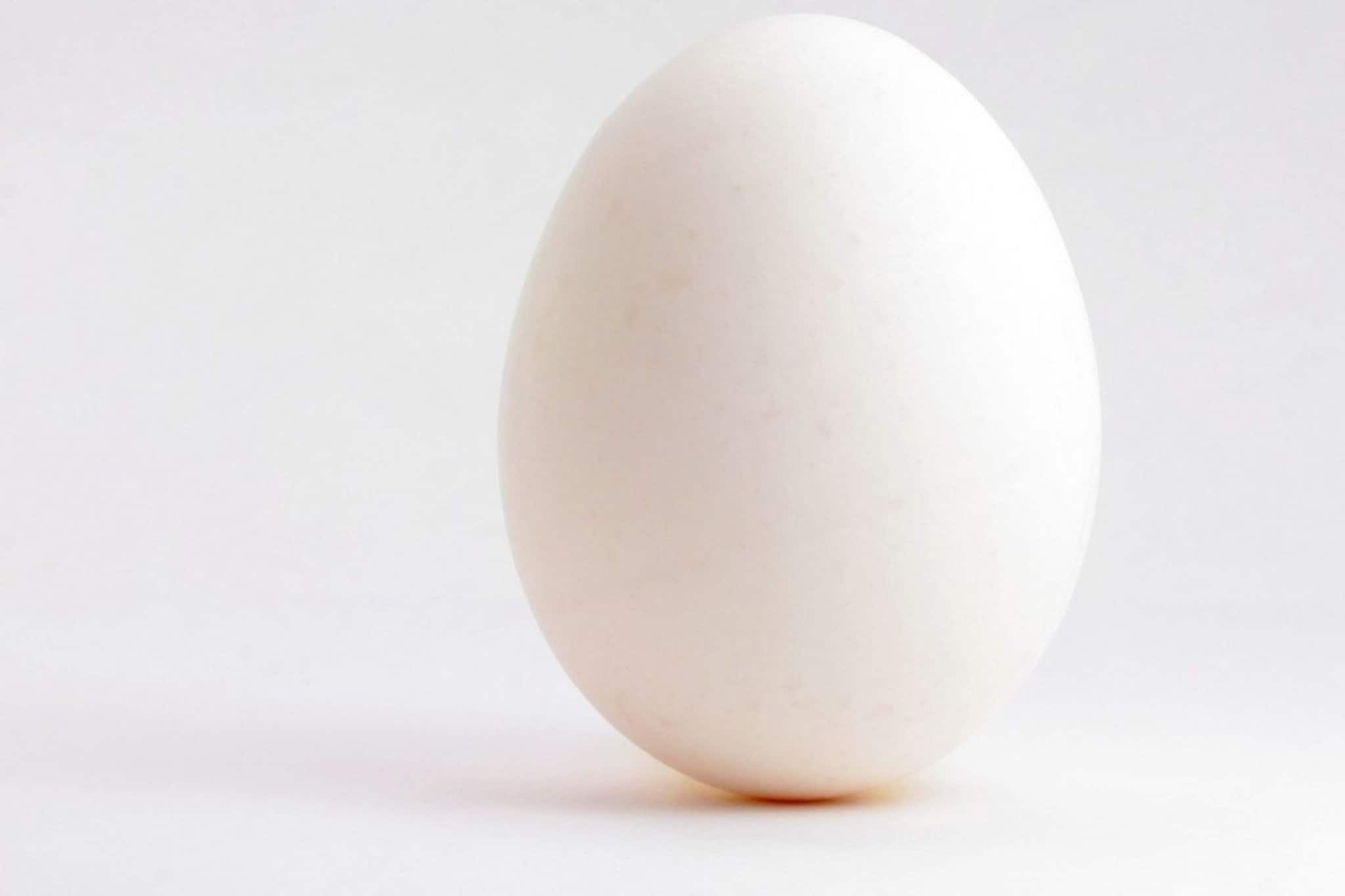 Snake Egg : सापाची अंडी खाल्ली तर काय होईल? 5 अंडी खाल्ल्याने खरोखरच मृत्यू होतो