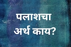 पलाश...पलाश... पलाश...! कित्येक दिवसांपासून चर्चेत नाव, पण या नावाचा अर्थ काय?