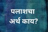 पलाश...पलाश... पलाश...! कित्येक दिवसांपासून चर्चेत नाव, पण या नावाचा अर्थ काय?