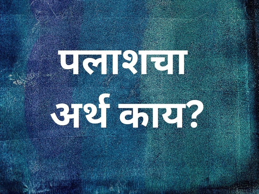 पलाश हा एक सुंदर आणि अर्थपूर्ण संस्कृत आधारित शब्द आहे. हा शब्द निसर्ग, रंग, तेज, आणि सौंदर्याशी जोडलेला आहे. पलाश हा एक सुंदर आणि अर्थपूर्ण संस्कृत आधारित शब्द आहे. हा शब्द निसर्ग, रंग, तेज, आणि सौंदर्याशी जोडलेला आहे.