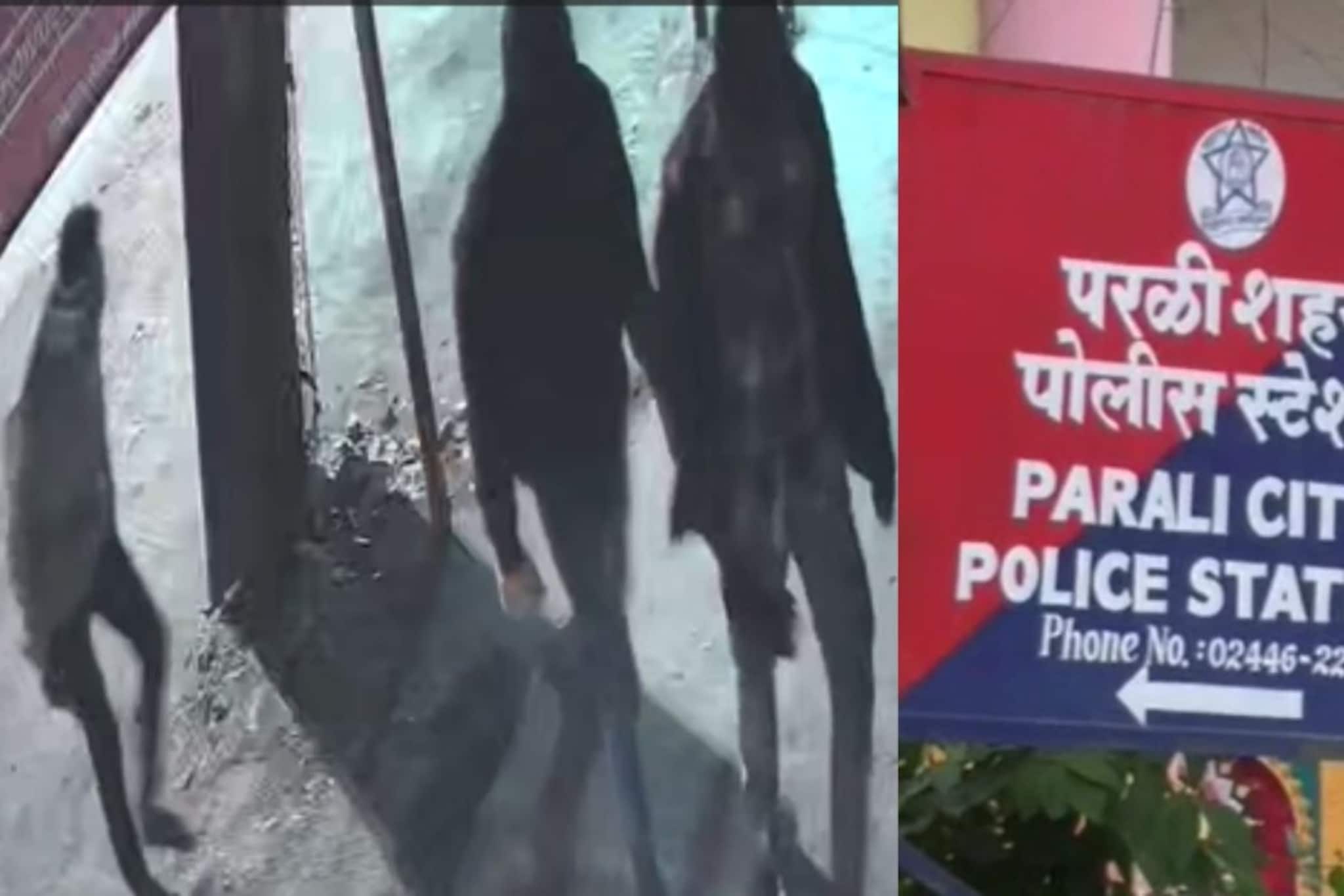 SBI ग्राहक सेवा केंद्रात चोरी, कुलूप तोडून लाखभर रुपये लंपास,घटना CCTV मध्ये कैद