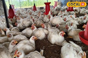 शेतीवर अवलंबून न राहता घेतला निर्णय, व्यवसाय ठरला यशस्वी,बॅचला 1 लाख निव्वळ नफा