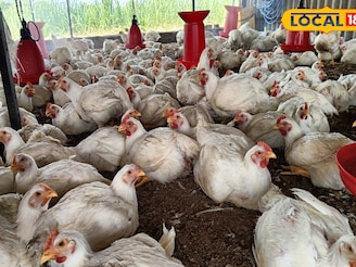 शेतीवर अवलंबून न राहता घेतला निर्णय, व्यवसाय ठरला यशस्वी,बॅचला 1 लाख निव्वळ नफा