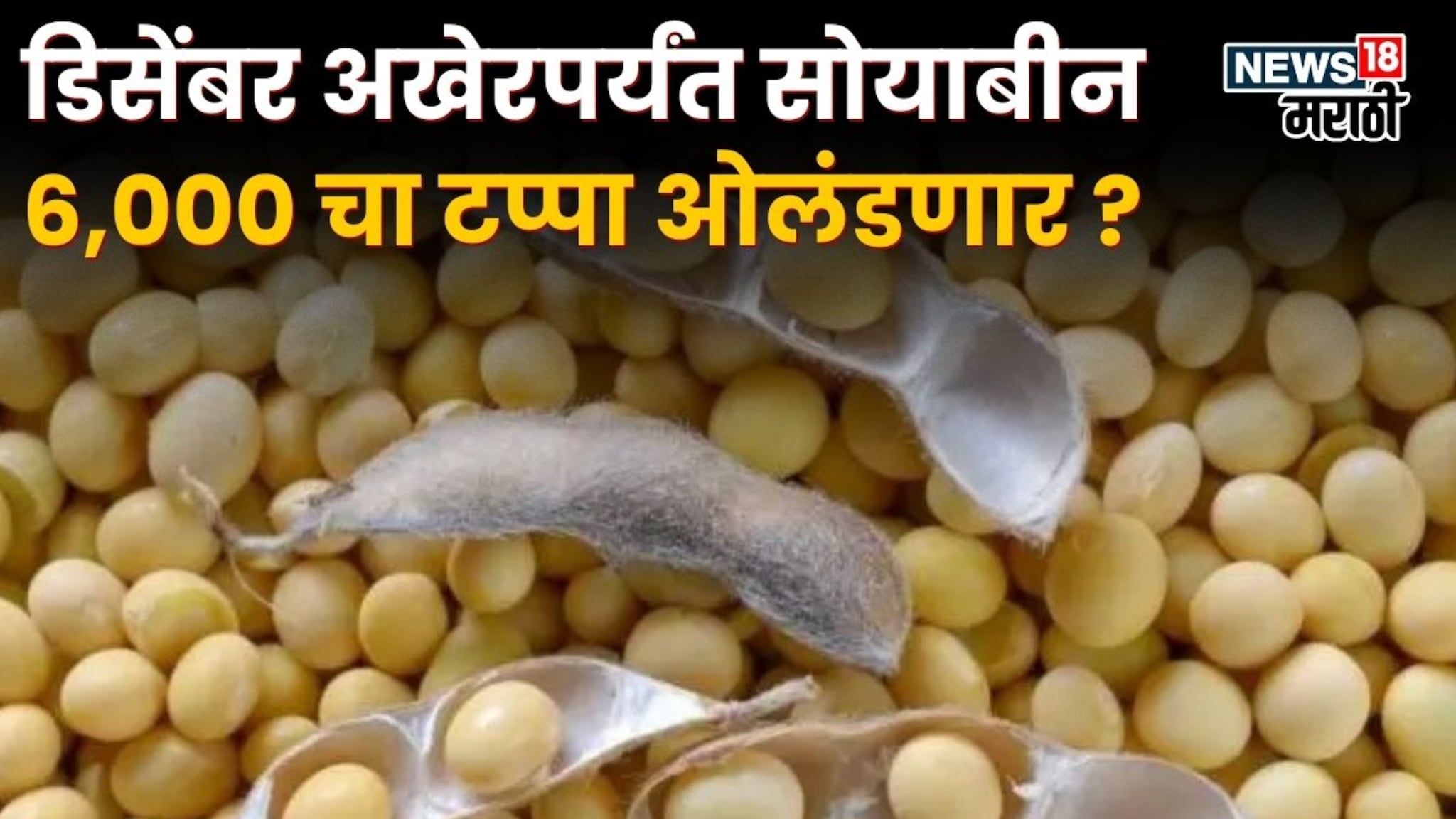 Soyabean Market : डिसेंबर अखेरपर्यंत सोयाबीन 6,000 चा टप्पा ओलंडणार का? मार्केट कसं असणार?