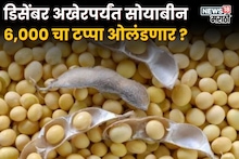 Soyabean Market : डिसेंबर अखेरपर्यंत सोयाबीन 6,000 चा टप्पा ओलंडणार का? मार्केट कसं असणार?